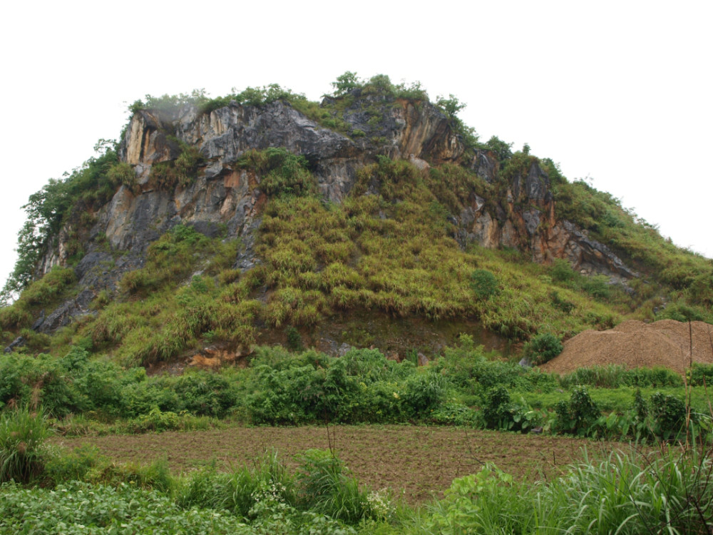 Tiger Rock Site