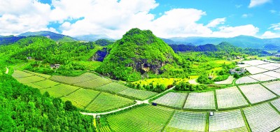 萬壽巖遺址保護：守住中華文明的遠古記憶
