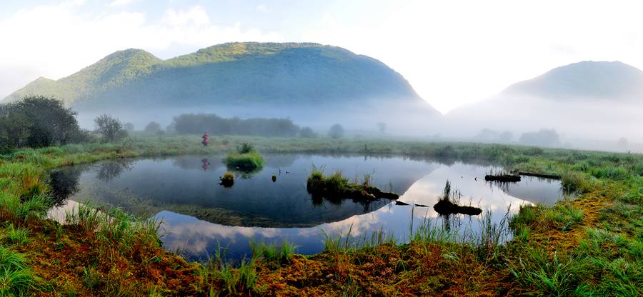 湖北神農(nóng)架遺產(chǎn)地“擴(kuò)容” 重慶五里坡成為世界自然遺產(chǎn)