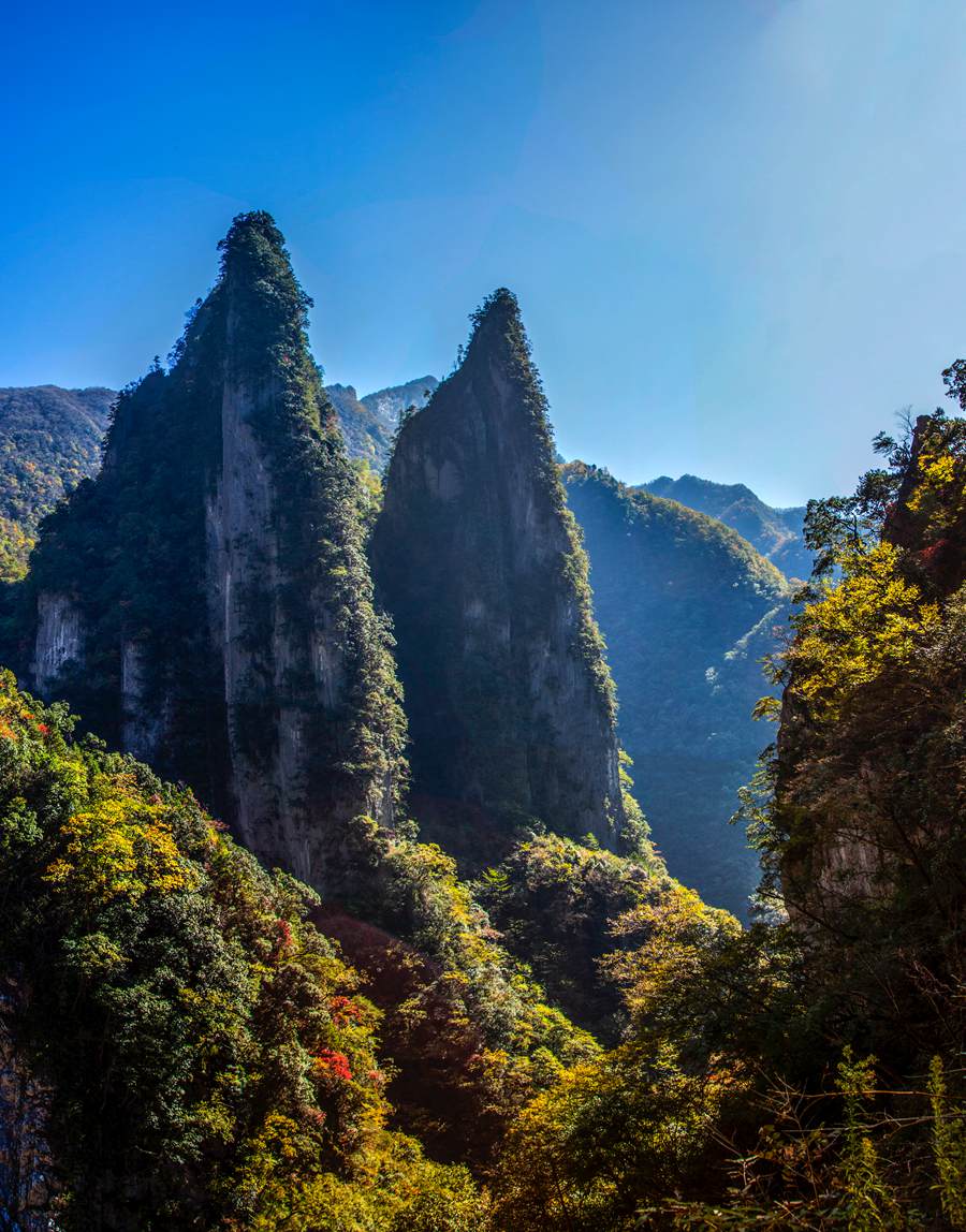 湖北神農(nóng)架遺產(chǎn)地“擴(kuò)容” 重慶五里坡成為世界自然遺產(chǎn)