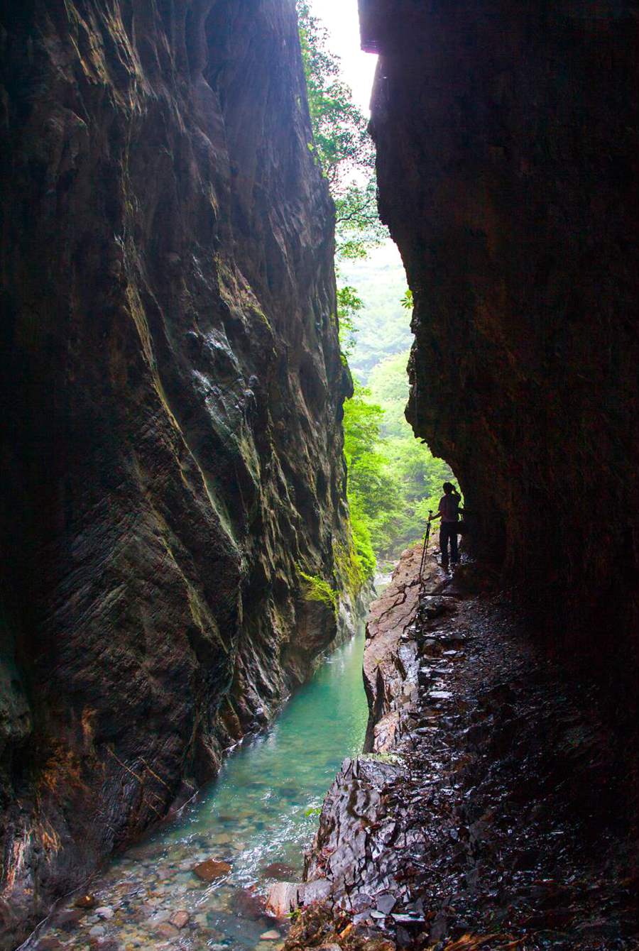 湖北神農(nóng)架遺產(chǎn)地“擴(kuò)容” 重慶五里坡成為世界自然遺產(chǎn)