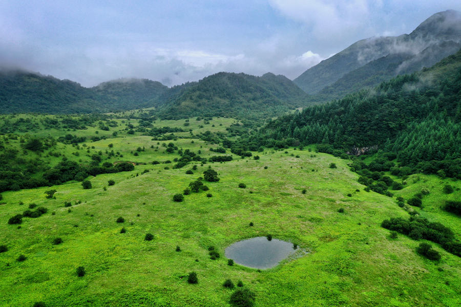 湖北神農(nóng)架遺產(chǎn)地“擴(kuò)容” 重慶五里坡成為世界自然遺產(chǎn)