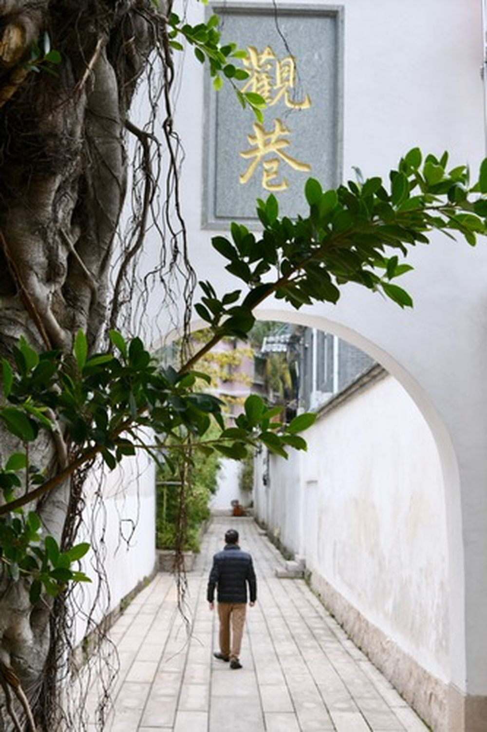 Fuzhou: Promote the protection and utilization of Fuzhou Ancient Houses and improve urban quality
