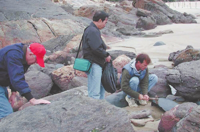  The Footprints of the Prehistoric Ancestors of Austronesian Language Family