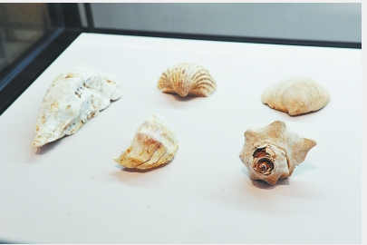 The Keqiutou sites: The first stepping stone towards the sea