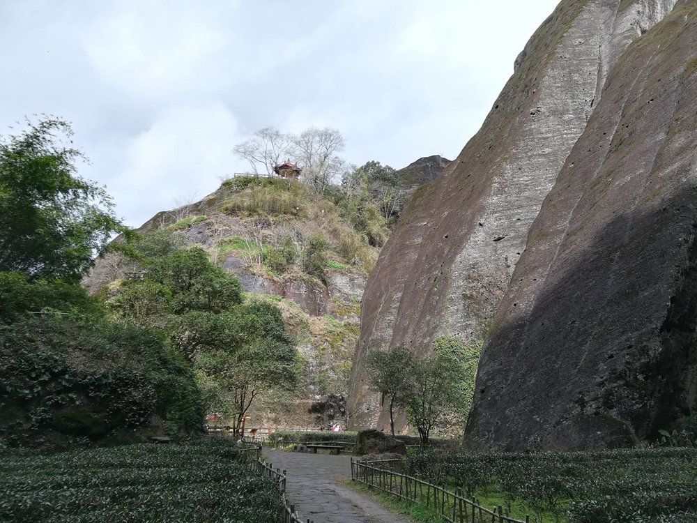 Tea Cave