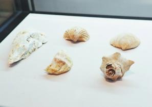 Légende des temps passés - à la recherche des gènes de la civilisation maritime du Fujian