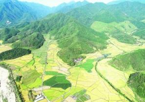 Les premiers chants du Livre des monts et des mers émis par les ruines de Niubishan et de Tanshishan dans la province du Fujian