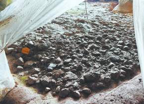 遠古家園 生機勃發(fā) ——萬壽巖遺址保護和發(fā)展紀實（下）