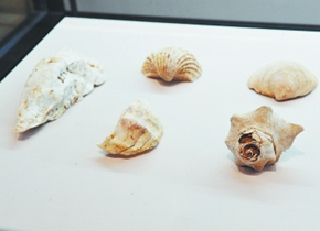 The Keqiutou sites: The first stepping stone towards the sea