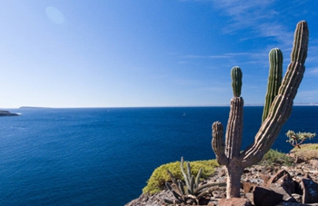 Concerns over the Vaquita in the Islands and Protected Areas of the Gulf of California (Mexico)