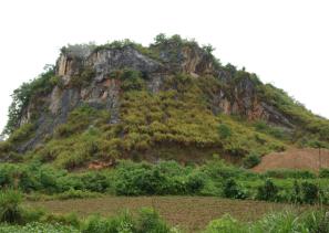 Tiger Rock Site