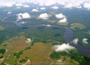 Salonga National Park removed from the List of World Heritage in Danger